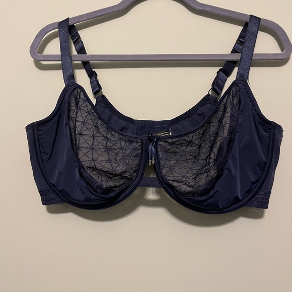 Ashley Graham bra - Picture 9 of 12